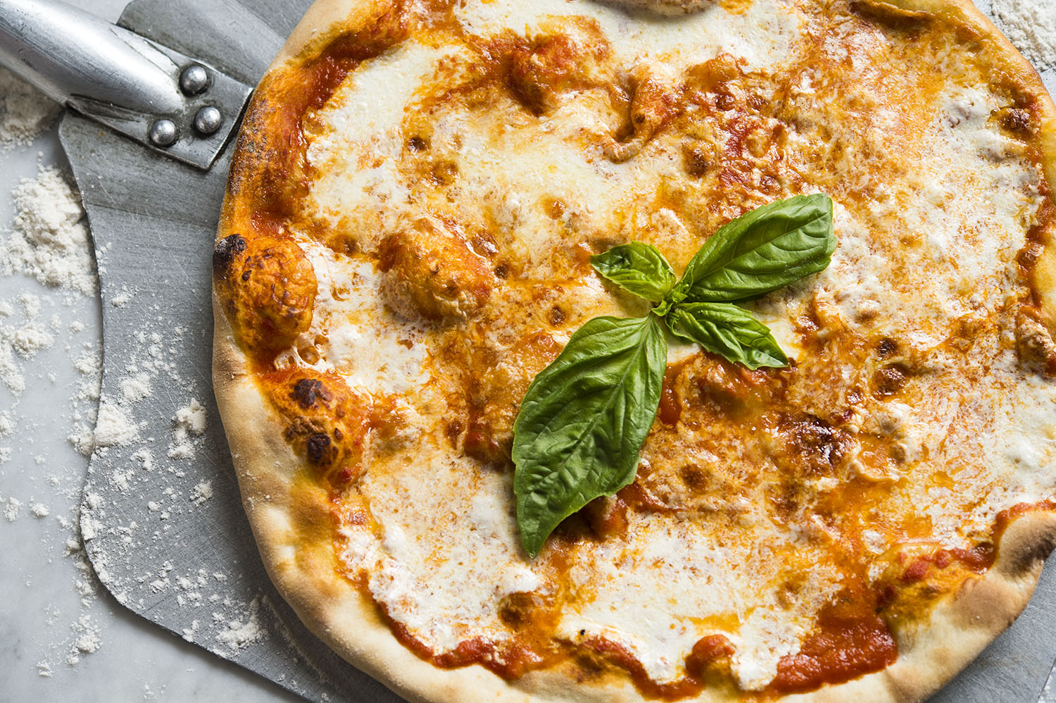 Mangia: Not Your Average Pizza Delivery