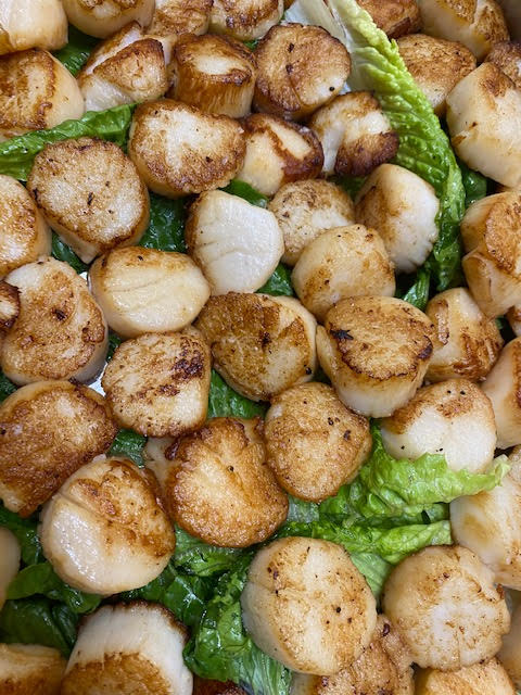 Scallops Recipe Healthy Way To Cook Scallops Mangia s Blog