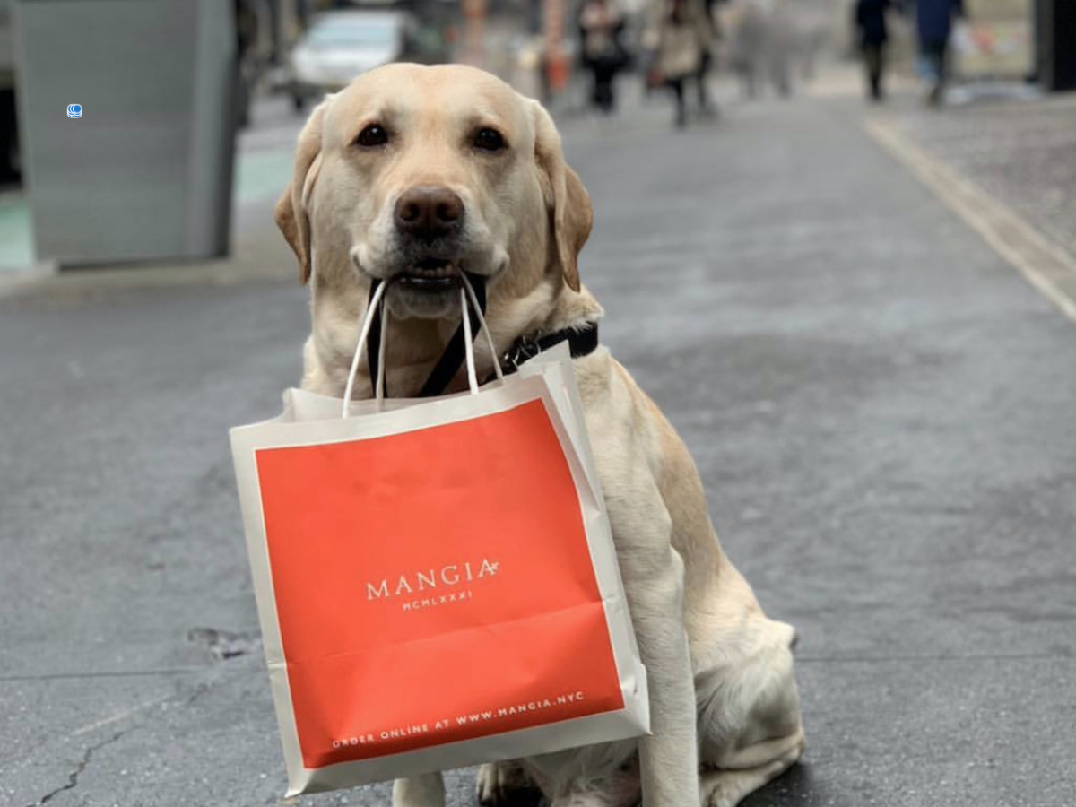 Dog clearance bakery manhattan