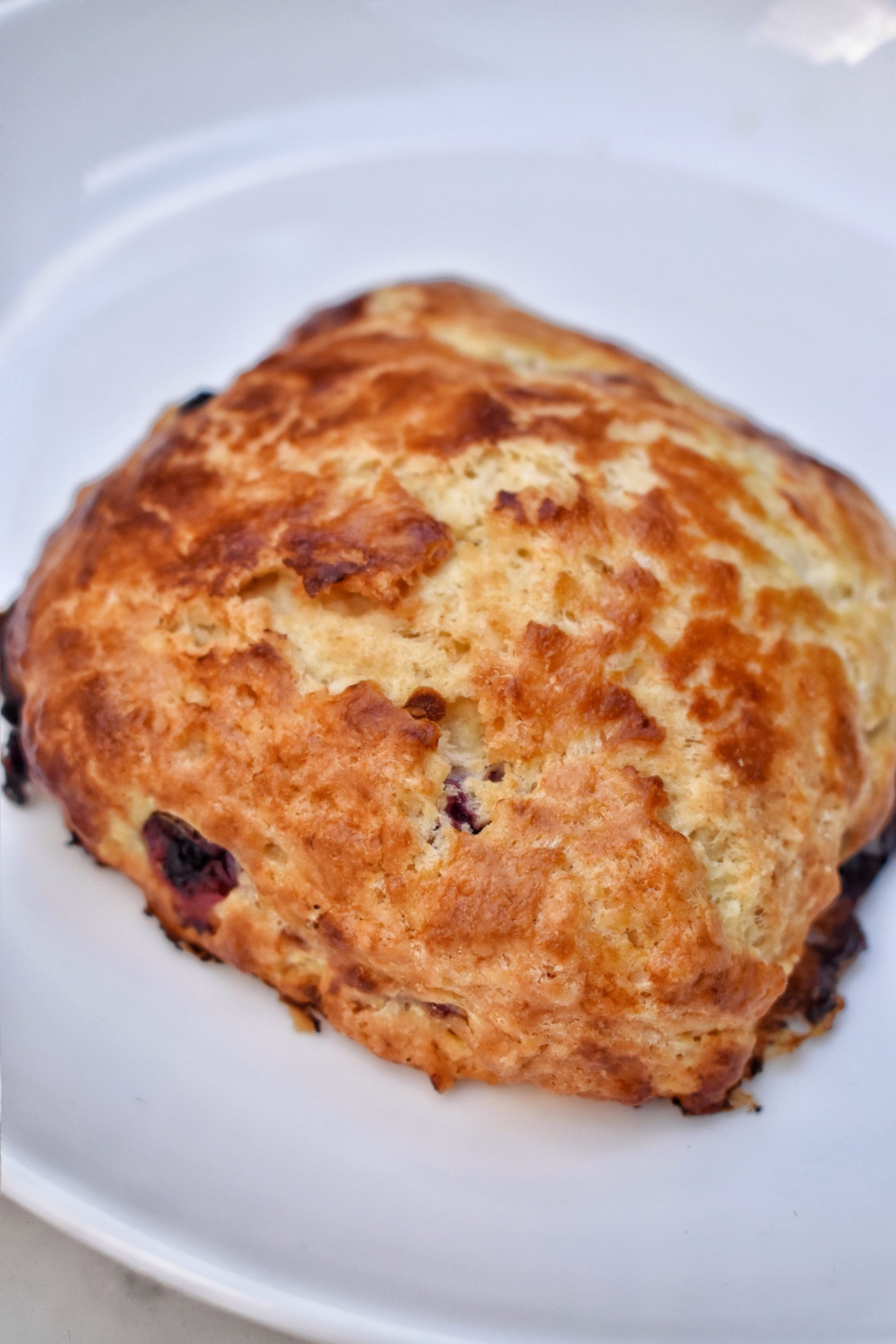 Italian Bakery NYC Galleries By Mangia NYC