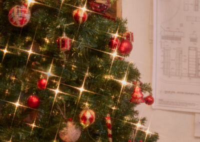 Christmas Holiday Catering New York (1)