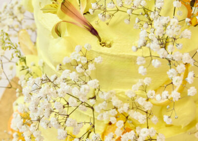 25 02 04 mangia spring cake 0028 social