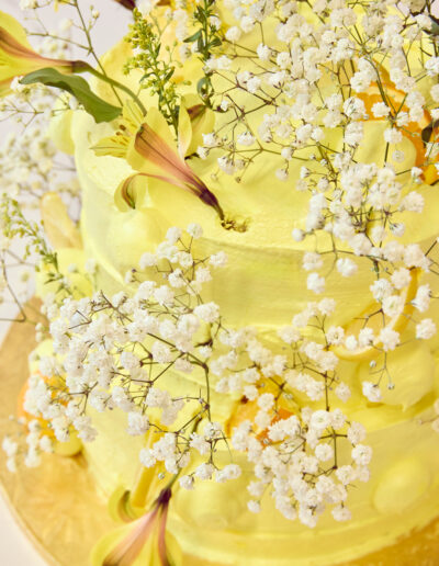 25 02 04 mangia spring cake 0028 social