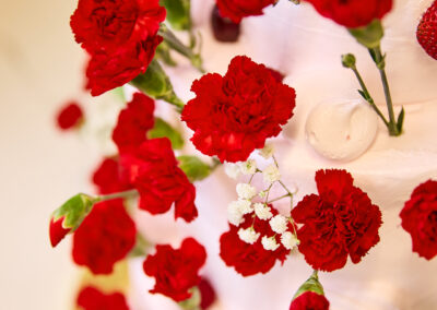 25 02 04 mangia spring cake 0044 social