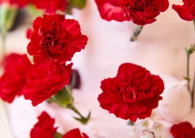 25 02 04 mangia spring cake 0090 social