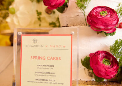 25 02 04 mangia spring cake 0698 social