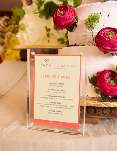 25 02 04 mangia spring cake 0699 social